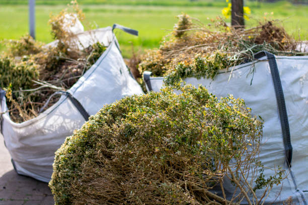 Trusted Greensboro, GA Junk Removal Services Experts